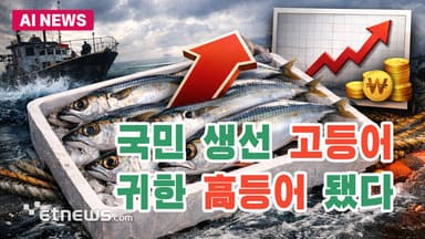 국민생선 고등어, 귀한 高등어 됐다
