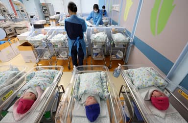 상시근로·소득 높고·주택 있을수록 더 출산