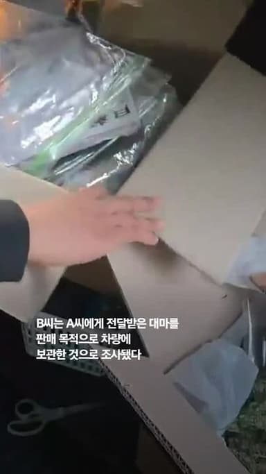 산속 비닐하우스, 알고보니 ‘대마 밭’…경찰, 대마 재배 일당 구속