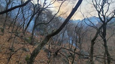 강릉서 강풍 속 산불…헬기 8대 투입 진화 중