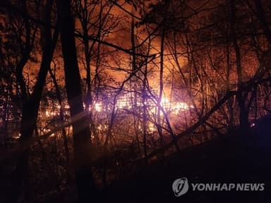 부산 기장 산불 현장에 헬기 17대 투입…"진화 총력전"(종합)