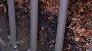 정치 상황에 불만?...국회 담벼락에 불 지른 남성 체포