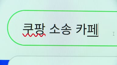 쿠팡 소송 28만 명 참여...이틀째 본사 압수수색