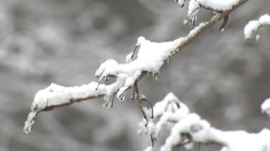 하루 새 기온 5∼10℃ 뚝...주말 대설특보 수준 많은 눈