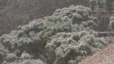 강원 산지 최대 15cm 폭설...눈길 교통사고·시설물 피해 주의