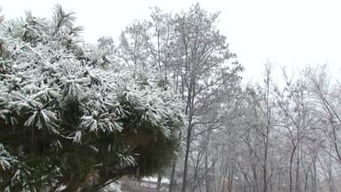 강원 영서북부 대설주의보...최대 15cm 폭설