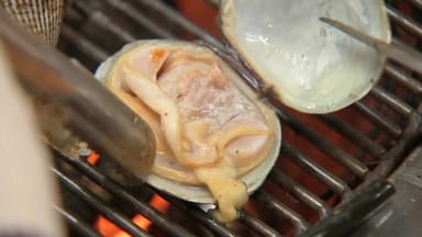 '겨울 식중독' 노로바이러스 기승..."염소 소독하고 손은 비누로"