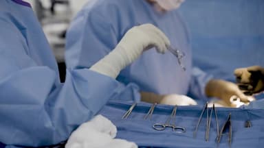 '이종 장기이식' 첫 임상...'장기 부족' 새 희망될까