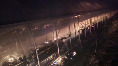 충남 논산 딸기 비닐하우스 화재...4천6백만 원 피해