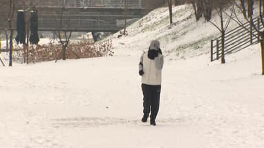 강원 10cm 눈에 사고·고립 잇따라...빙판길 주의