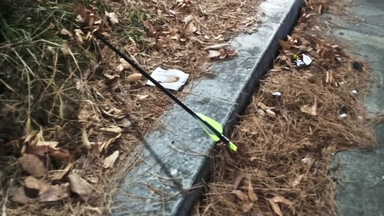 산책하는 여성 주변에 화살 쏜 20대 2명...출석 요구