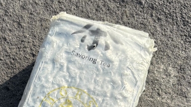 제주 해안서 발견된 마약..."대만서 유실된 마약 연관성"