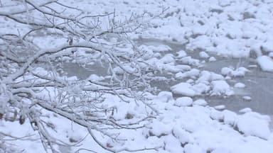 동쪽 대설주의보, 빙판길 ...내일 한파에 서대한 폭설