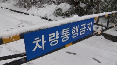 '대설·강풍'에 바닷길·하늘길 통제...곳곳 피해 속출