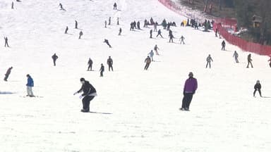 생존 위기 스키장...'전기요금·국공유림 대부료' 대책 요구