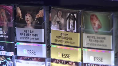 "흡연·폐암 개연성 입증 안 돼"...건보공단, 담배소송 2심도 패소