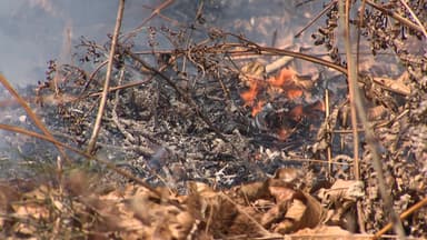 광양·기장 산불 진화...강풍·추위에 진화 난항