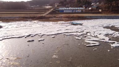 최강 한파에 서해안 얼어붙어...어선도 발 묶여