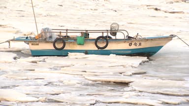 맹추위에 바닷물도 '꽁꽁'...애타는 어민들