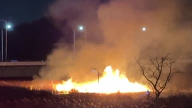 한파 속 아파트 정전...울산 태화강변 갈대밭 '활활'