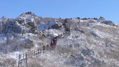 새하얀 눈꽃·얼음꽃 만발...무주 덕유산 설경, 절정