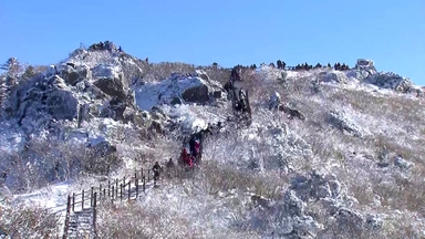 새하얀 눈꽃 내려앉은 덕유산...스키장도 '북적'