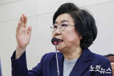 이혜훈 "장남 파경 위기로 병까지"…위장 미혼 해명 '진땀'